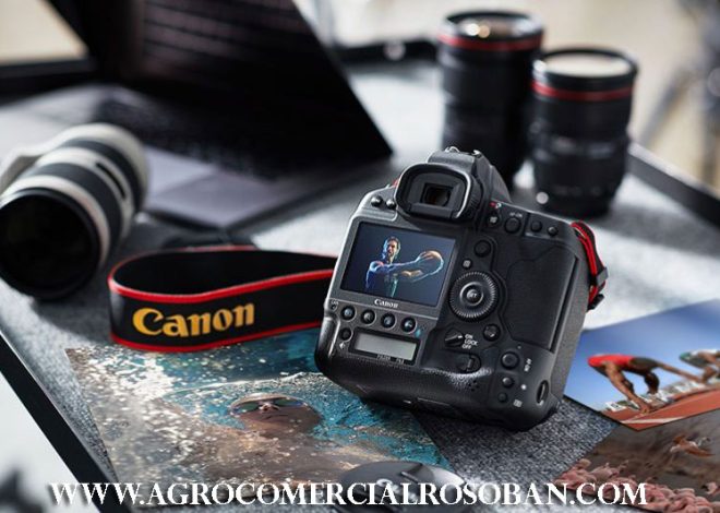 Canon EOS 1D: Kamera Profesional untuk Fotografi