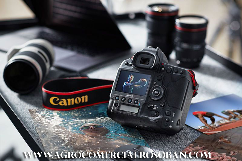 Canon EOS 1D: Kamera Profesional untuk Fotografi